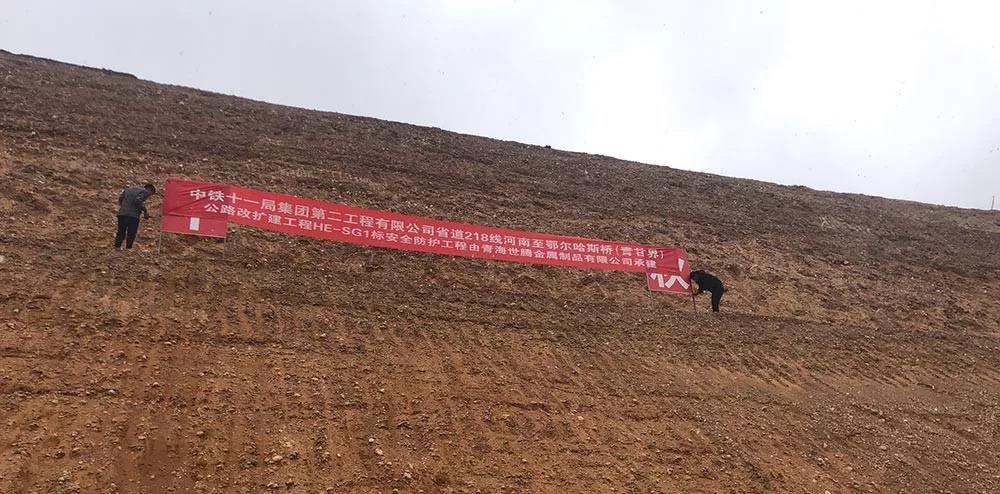 太阳成集团tyc7111cc(中国)_官方网站