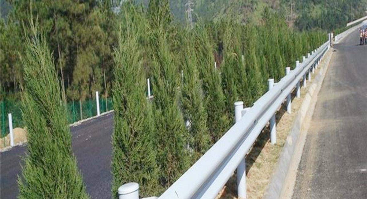 太阳成集团tyc7111cc(中国)_官方网站