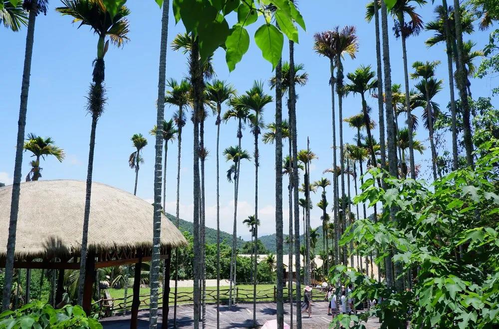 太阳成集团控股集团