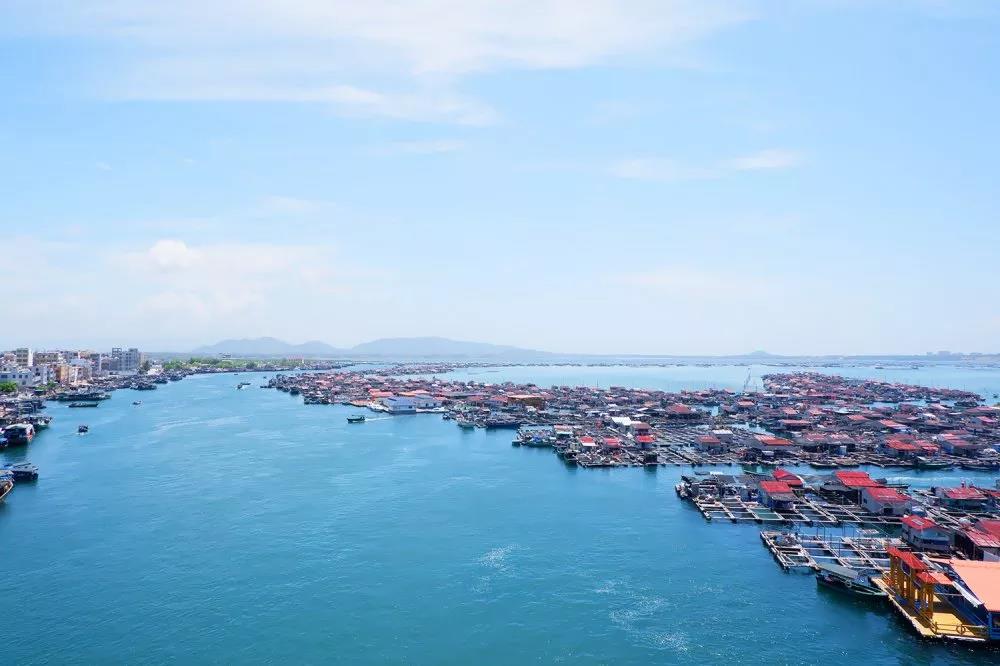 太阳成集团tyc7111cc(中国)_官方网站