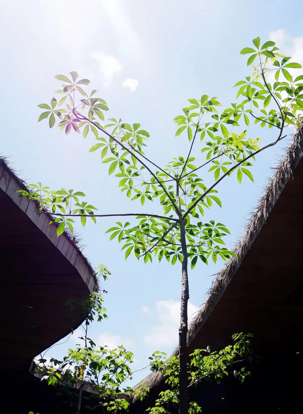 太阳成集团tyc7111cc(中国)_官方网站