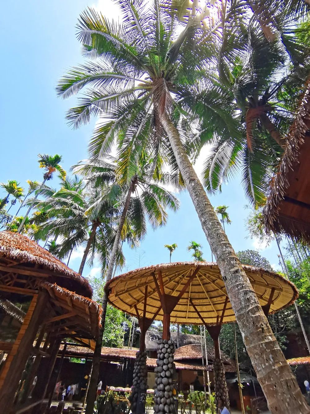 太阳成集团tyc7111cc(中国)_官方网站