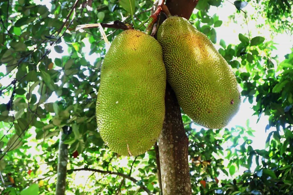 太阳成集团tyc7111cc(中国)_官方网站